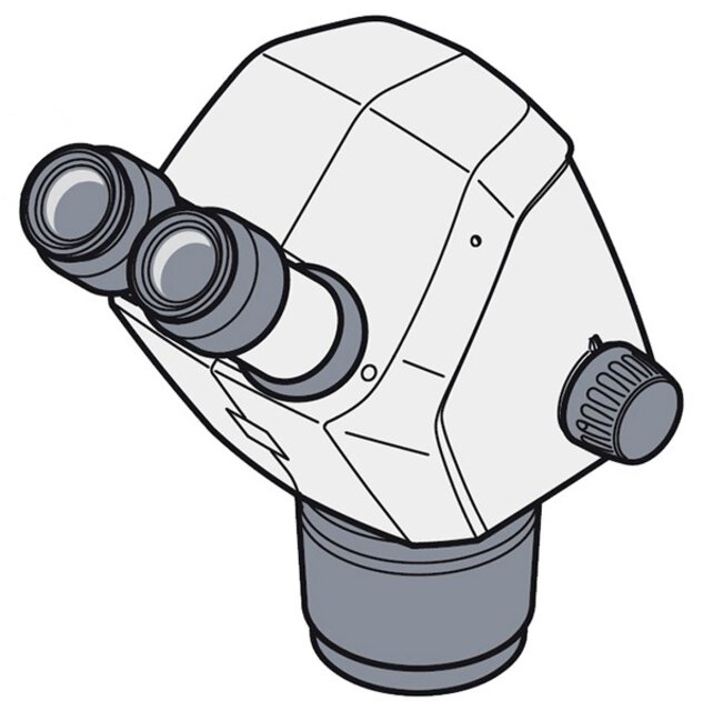 Microscope body Stemi 305 LED