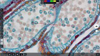 Microscope camera Axiocam 212 color #thumbnail-4