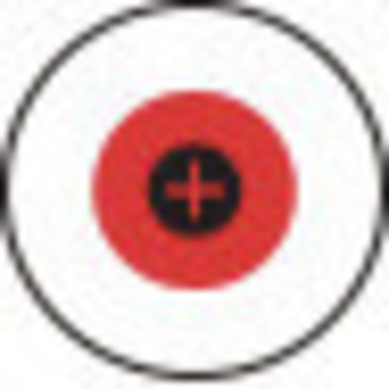 ERGO™ Phillips-Schraubendreher aus Edelstahl, mit 3-Komponentengriff, PH2 × 100 mm #2
