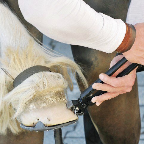 Hufbeschlagzange (Karosserieabreißzange), schwarz atramentiert, 300 mm #zoom-4